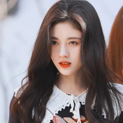 彩叶草之梦