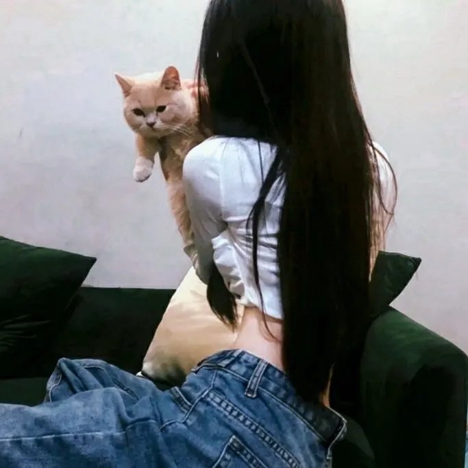 经典收藏